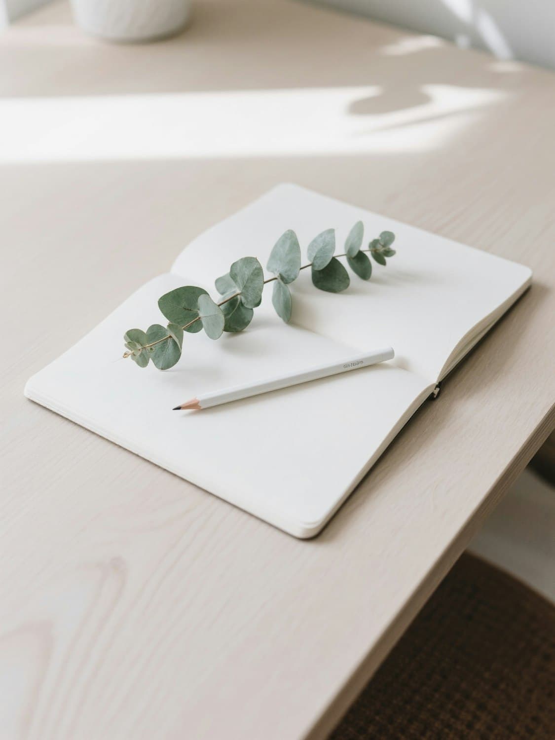 Carnet ouvert, crayon et branche d’eucalyptus sur un bureau en bois clair